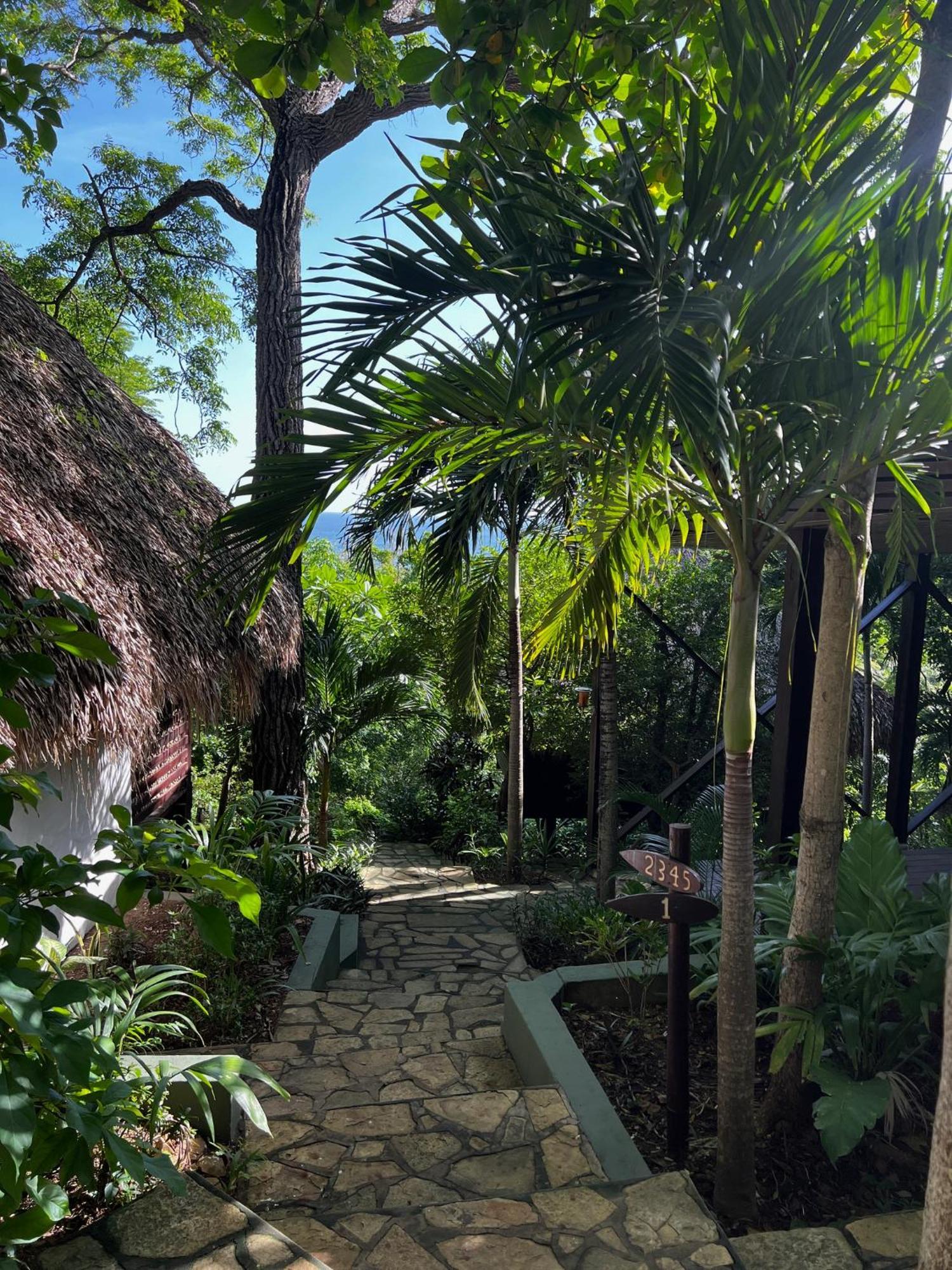 Buena Vista Surf Club Hotell El Plantel Exteriör bild
