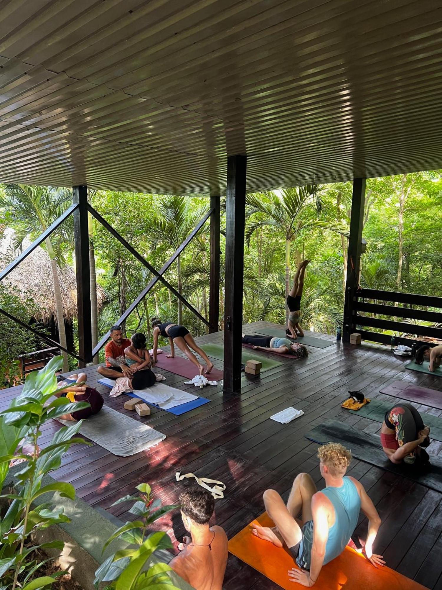 Buena Vista Surf Club Hotell El Plantel Exteriör bild